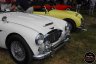 https://www.carsatcaptree.com/uploads/images/Galleries/greenwichconcours2015/thumb_LSM_0288 copy.jpg